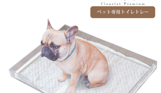 【2024年1月】おすすめの犬用トイレトレー10選