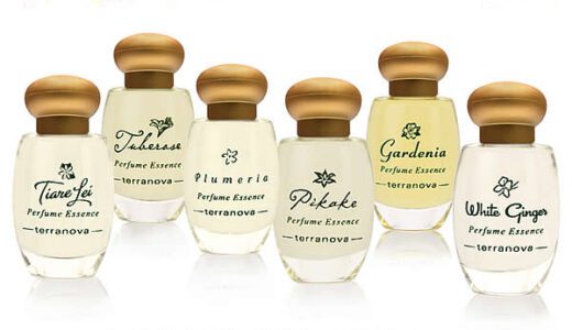 【2024年4月】プルメリアの香りのおすすめ香水10選